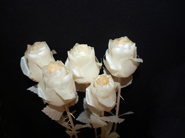Roses made of handmade wood - My, Russia, Peekaboo, Nature, Good league, In contact with, news, Tree, the Rose