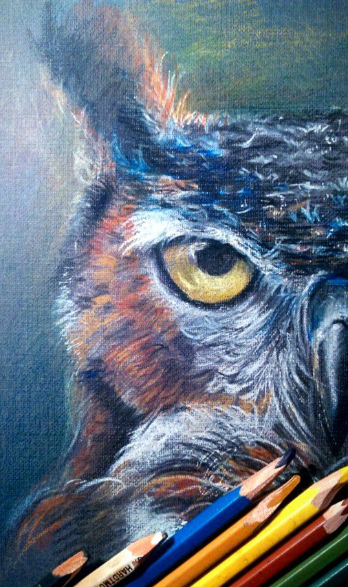 Sketch - My, Drawing, Animals, Portrait, Magnitogorsk, Owl, Creation, Art, Sketch