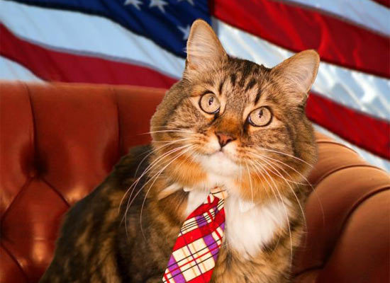 Politician Animals - Politicians, Elections, USA, Politics, Animals, Longpost