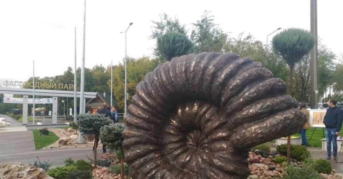 Жк Аммонит Тюмень Фото