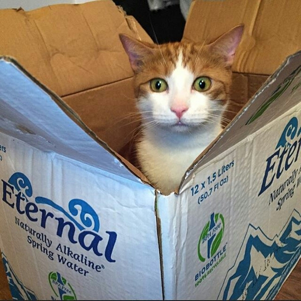 Что я делаю не так картинка. Смотреть фото Что я делаю не так картинка. Смотреть картинку Что я делаю не так картинка. Картинка про Что я делаю не так картинка. Фото Что я делаю не так картинка Что я делаю не так картинка. Смотреть фото Что я делаю не так картинка. Смотреть картинку Что я делаю не так картинка. Картинка про Что я делаю не так картинка. Фото Что я делаю не так картинка