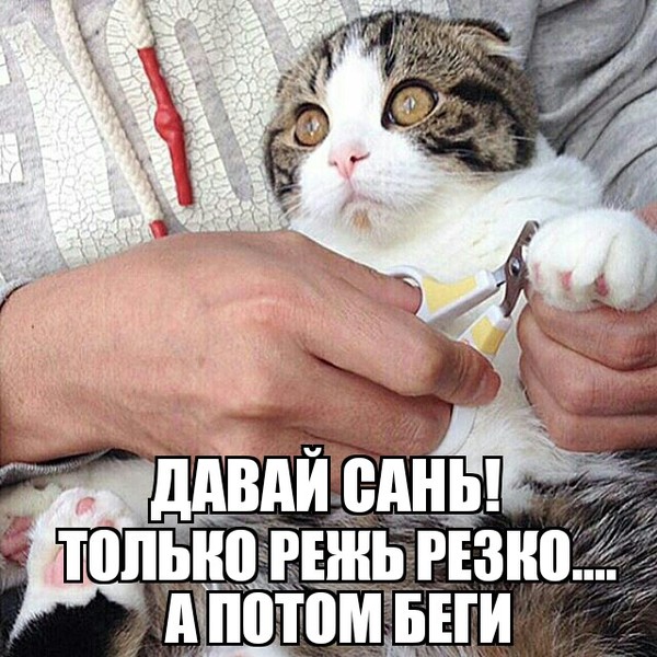 Когда проспорил Саньку палец...