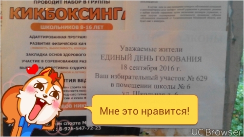 У кого что завтра, а у нас завтра будет вот это. - Моё, Выборы, Опечатка, Администрация