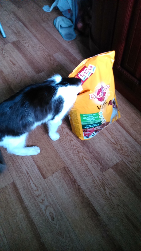 �� �� ��, ����� �������.