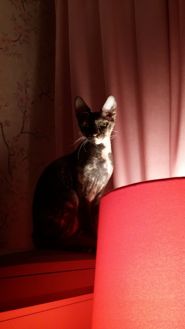 ��� ������� � ������ ������. ���������� ��� ��������� ����� ����...