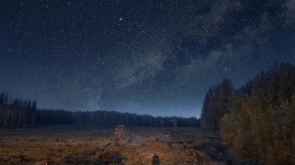 Night in the forest - My, Night, Astrophoto, Photoshop master, Tag