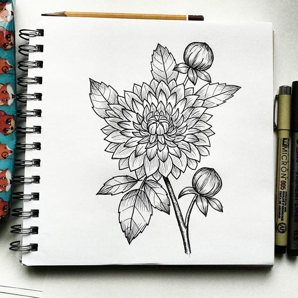 I am learning to draw sketches with a liner. - My, Sketch, Flowers, Drawing, Art, Liner, , Linework, Longpost