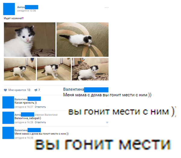 When mom is vindictive and makes revenge - My, Hostess, Spelling, Dictionary, Russian language, , cat
