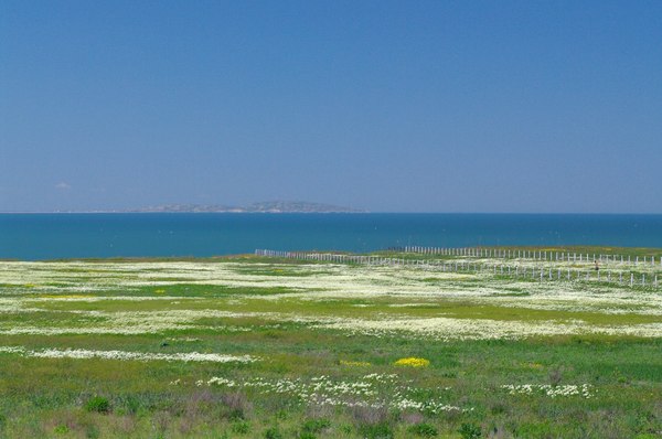 Spring steppe Crimea. - My, Crimea, Kerch, Russia, Azov sea, Karalar Park, Photo, Longpost