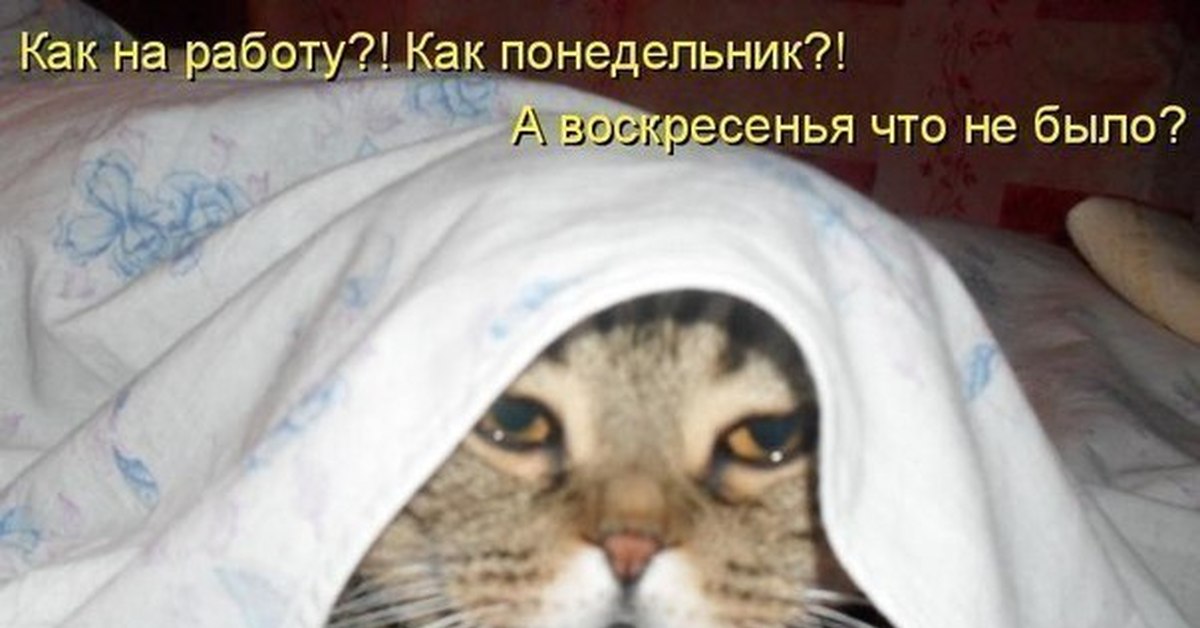 Открытка не хочу на работу в понедельник