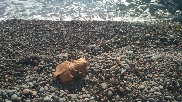 The saddest trash on the beach - My, , Pioneers, Yalta, Counselors, Autumn, Crimea