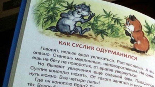 How crazy the gopher was. - Lipetsk, Homa and ground squirrel, Not a children's book, news