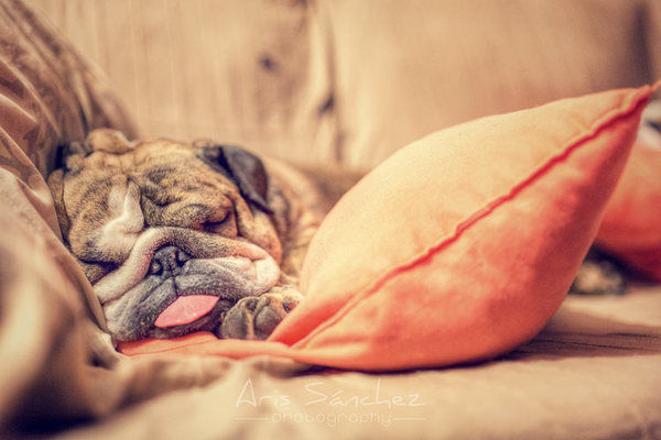 � �� ����� �� ���� ������