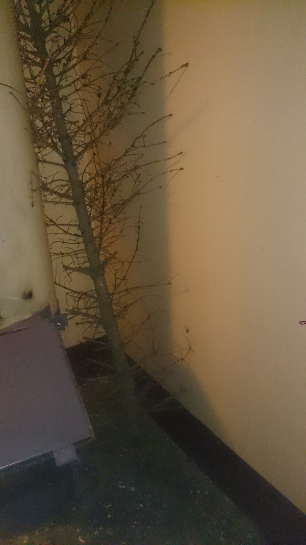 Ещё один слабак сдался!