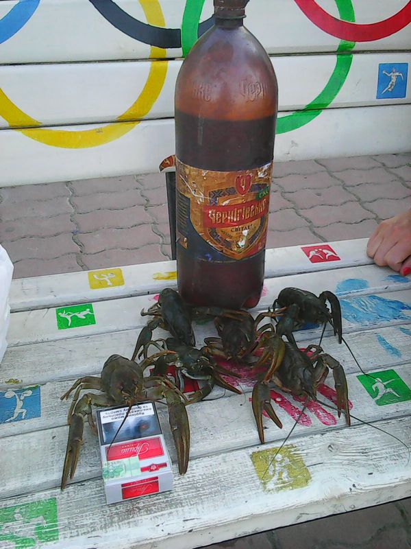 The story of one bottle of beer... - Crayfish, Humor, Beer, My, Story, Longpost