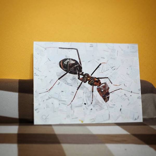 Murashik - My, Art, Painting, Collage, Modern Art, Insects
