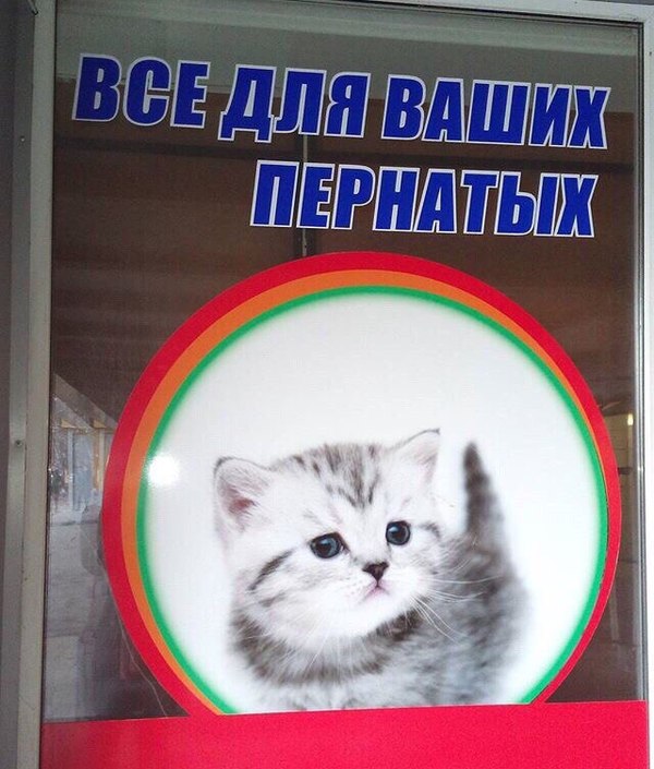 ����� ������ ������ ������� ������� � �����, �� ���������� ����� �������� �������, ��� ��� ���������������� ������ �� ����������� ������.