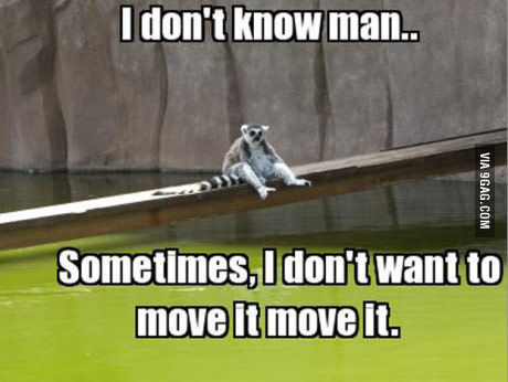 Move it move it - 9GAG, , Madagascar, 