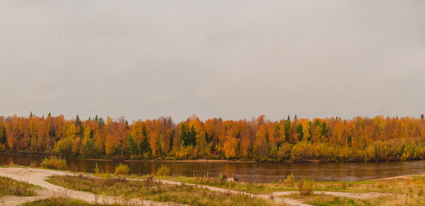 Вид за окном - Моё, Осень, Фотография, Панорама