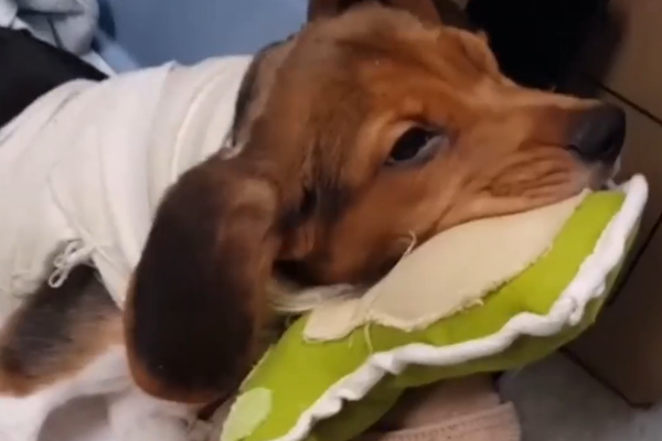 ��������� �������� �������� �� ��������� ������,��� �� ������� !���� ��������� ����� ���� �����