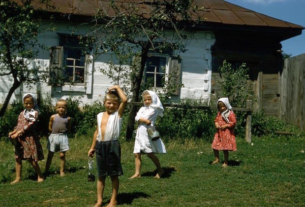 What is needed for a happy childhood? - Childhood, Happiness, Photo, Kindness, The sun