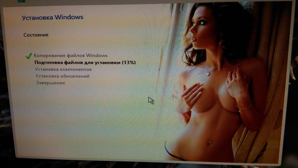 Сразу видно - хорошая винда! - NSFW, Моё, Windows, Установка, Неожиданно