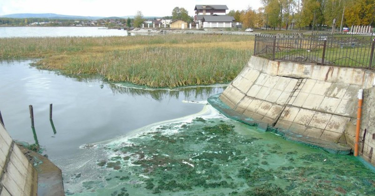 Обл вода. Черноисточинский пруд Нижний Тагил. Очистные сооружения Нижний Тагил. Нижневыйское водохранилище Нижний Тагил. Загрязнение воды Черноисточинский пруд.