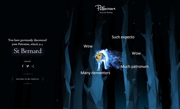 When I passed the Patronum test... - Harry Potter, Patronus, , Doge, , 