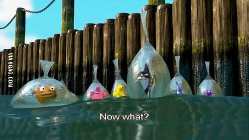 When I graduated from university - University, Finding Nemo, 9GAG, Awkwardness, What to do