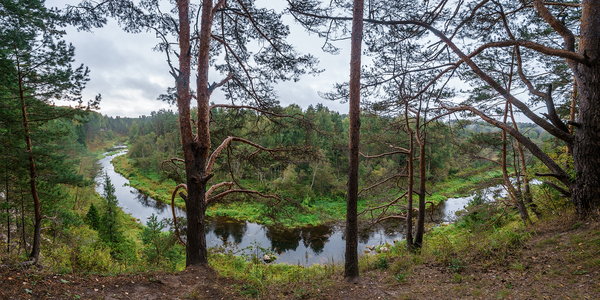 The Derzha River in the Tver Region - My, Photo, The photo, River, Tver region, Rzhev, Teeth