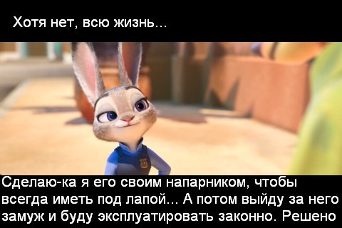 Хитрая крольчиха - Зверополис, Zootopia, Юмор