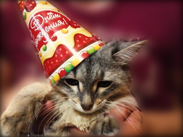 Твоё настроение, когда ты именинник.