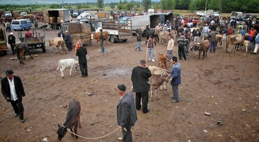 Three brothers who left to sell livestock are found dead in Almaty region - Crime, Murder, Almaty Oblast