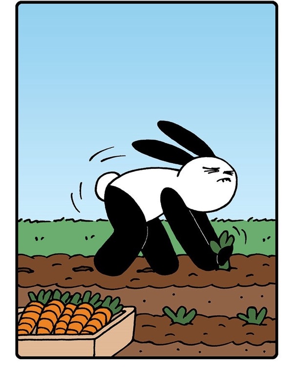     Buni,       , Buni, , , , 