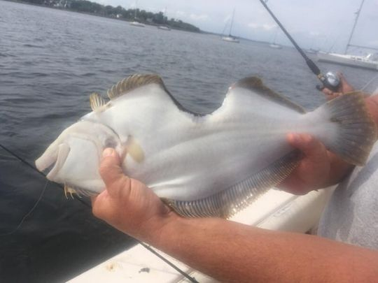 In New Jersey, they caught a fish from which someone bit off a piece. - Photo, A fish, Fishing, Interesting