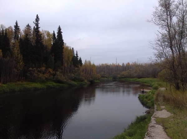 The beauty of autumn Siberia - My, River, Autumn, Longpost