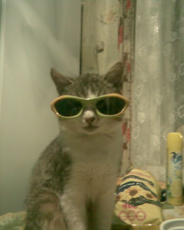   over9000! , , 
