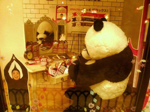 Даже не знаю, чему больше удивляться: панде с ресницами или ресничке слева.