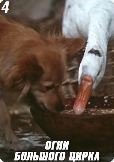 Топ-20 лучших собак в кино. Часть 2 из 2 25 кадр, Фильмы, Собака, Топ, Длиннопост