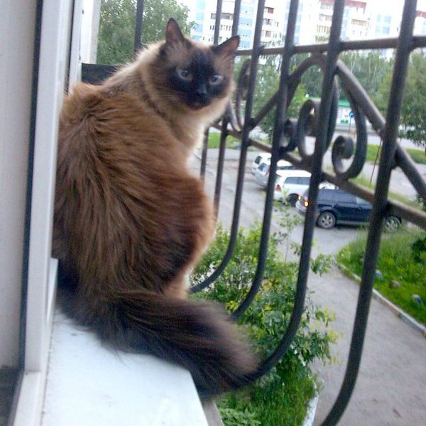 ������� � 90-�