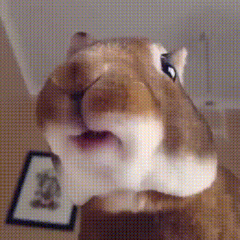 When treated to your favorite yummy. - Rabbit, Animals, Banana, GIF