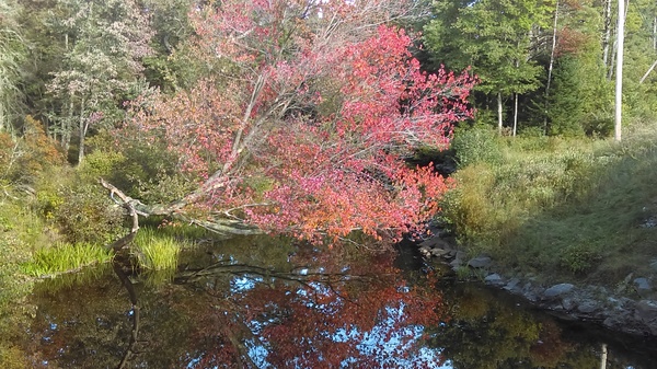 Autumn in New England. State of New Hampshire. I photographed myself, therefore the tag mine - Photo, My, First post, Nature, beauty