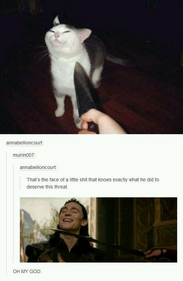 Analogies - cat, Knife, Threat, Tom Hiddleston