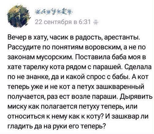 Арестантский кот...
