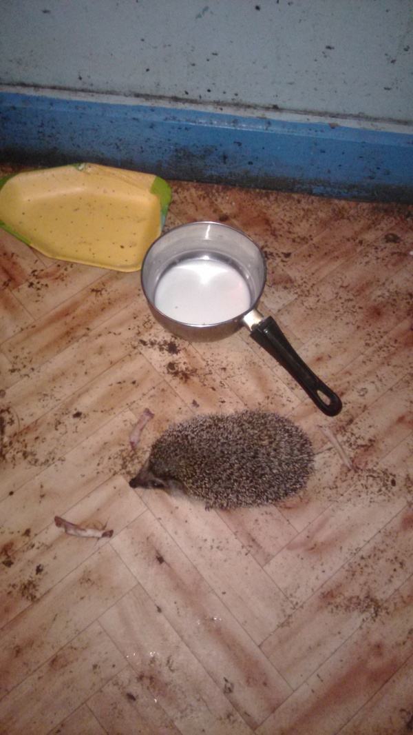     , , , , , 