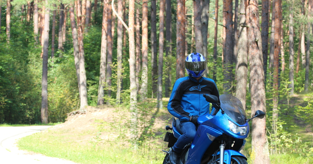Какой мотоцикл купить новичку. Мотоцикл для новичка. Мотоцикл для леса. Мото в лесу. Мотик в лесу.