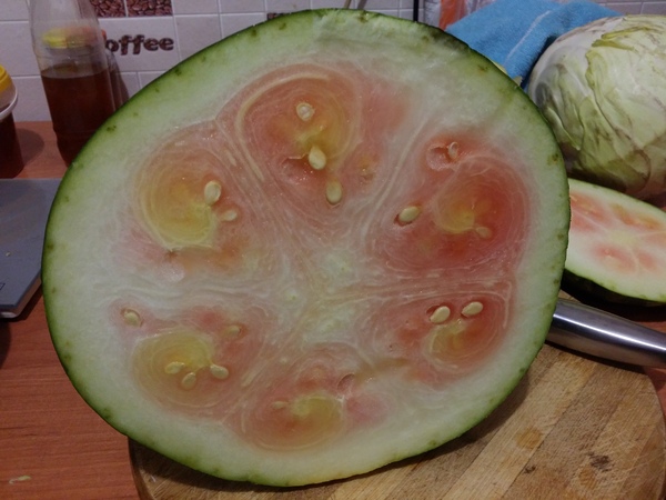 Купил арбузик :(