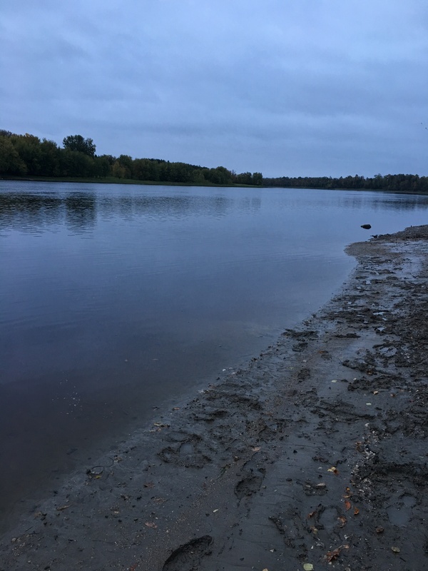 Fishing on the rainy river. We catch sturgeon. - My, Fishing, My, Longpost