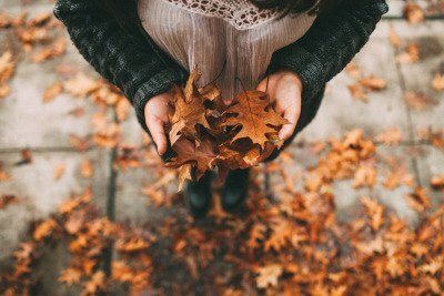 This wonderful time... - My, Autumn, Nature, Longpost