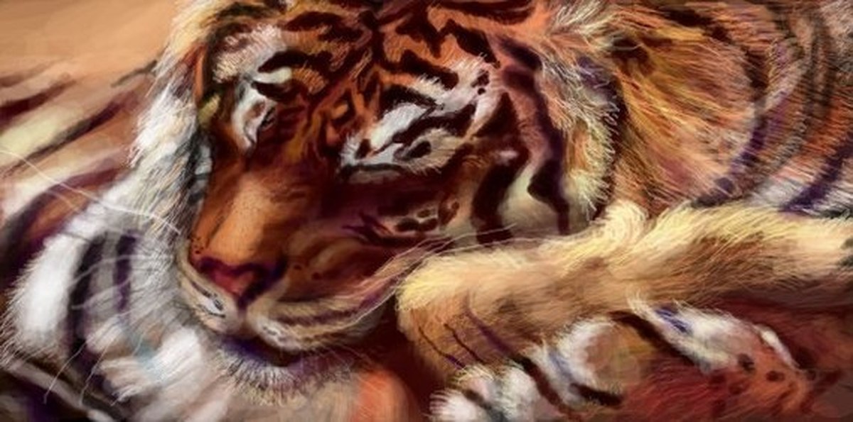Тигр лень. Картины для начинающих художников тигр. Спящий тигр арт.
